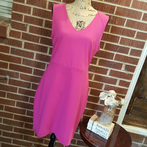 Banana Republic Dresses & Skirts - Banana Republic Bodycon Solid V Neck Dress 10P